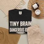 Tiny Brain, Dangerous Ideas