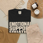 Emotional Support Equation