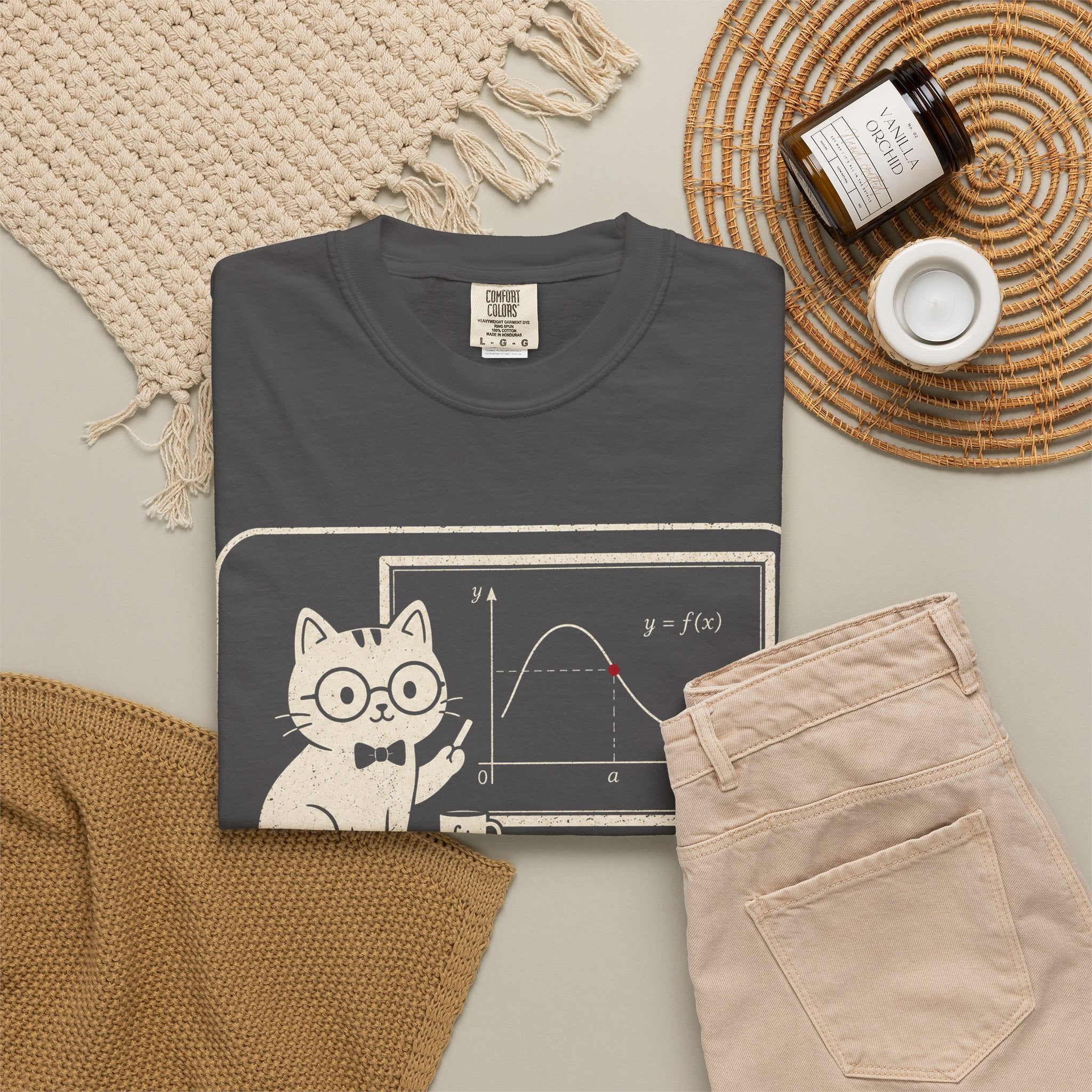 Cat Teacher At Meowthematics