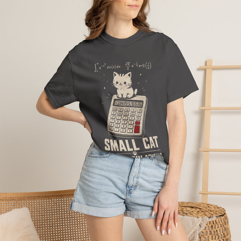 Small Cat, Big Calculations