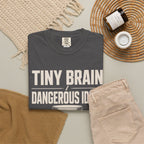 Tiny Brain, Dangerous Ideas