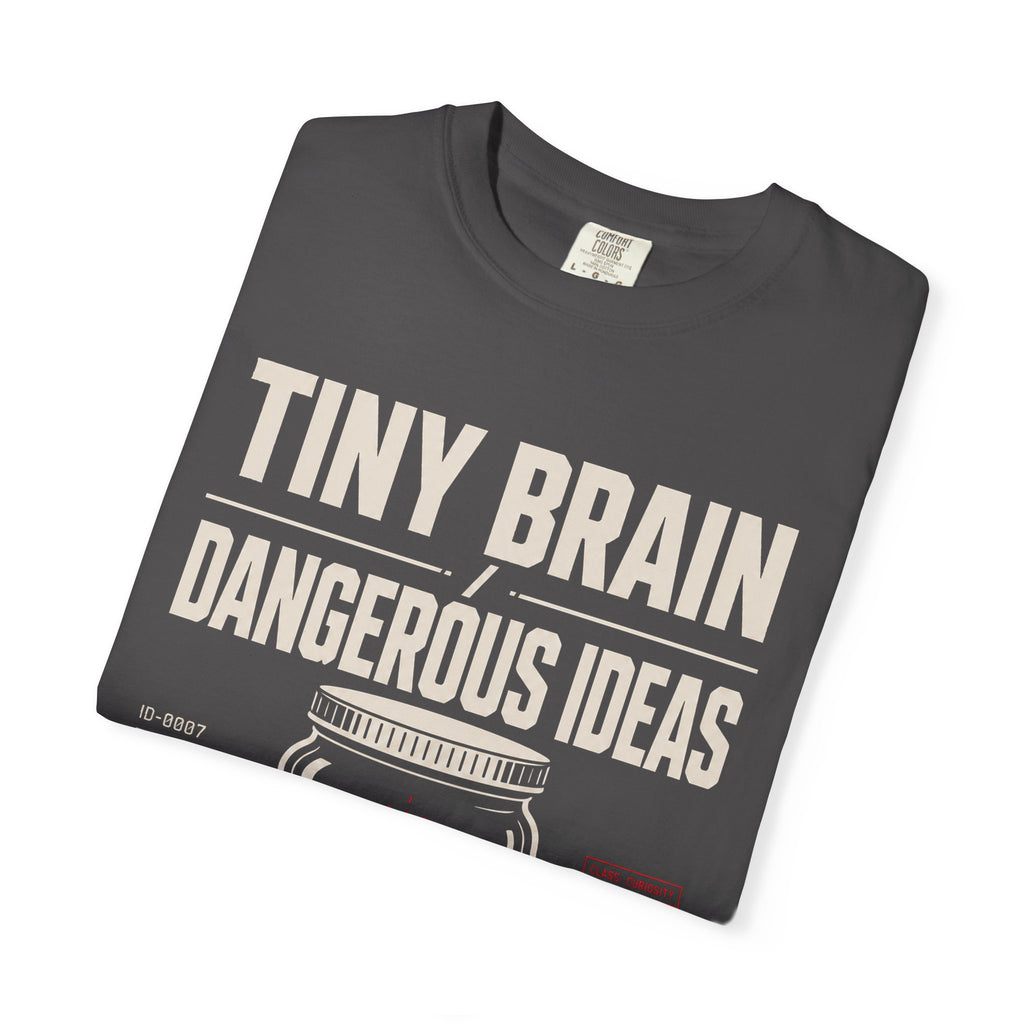 Tiny Brain, Dangerous Ideas