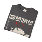 Low battery cat in distress