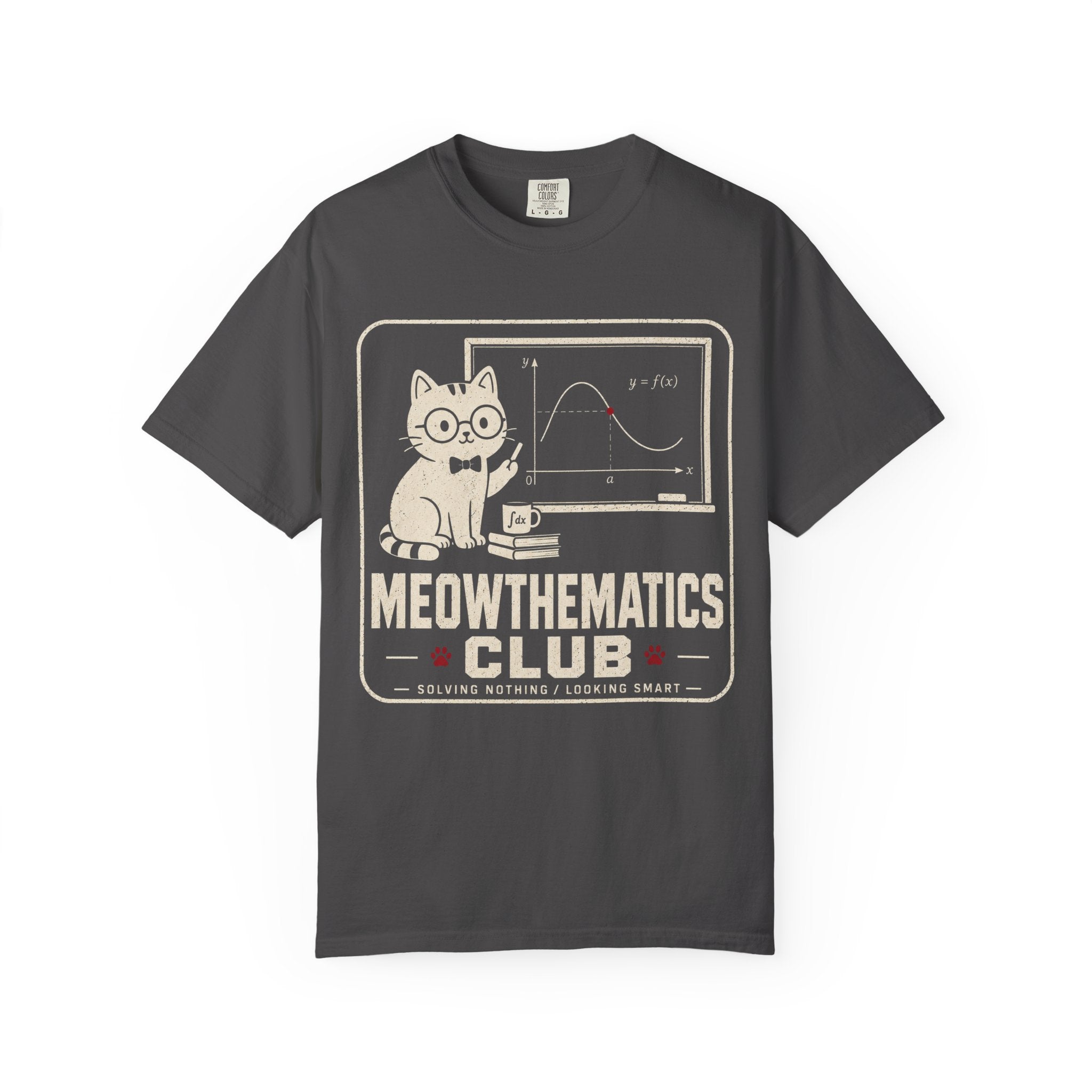 Cat Teacher At Meowthematics