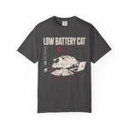 Low battery cat in distress