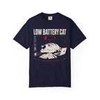 Low battery cat in distress