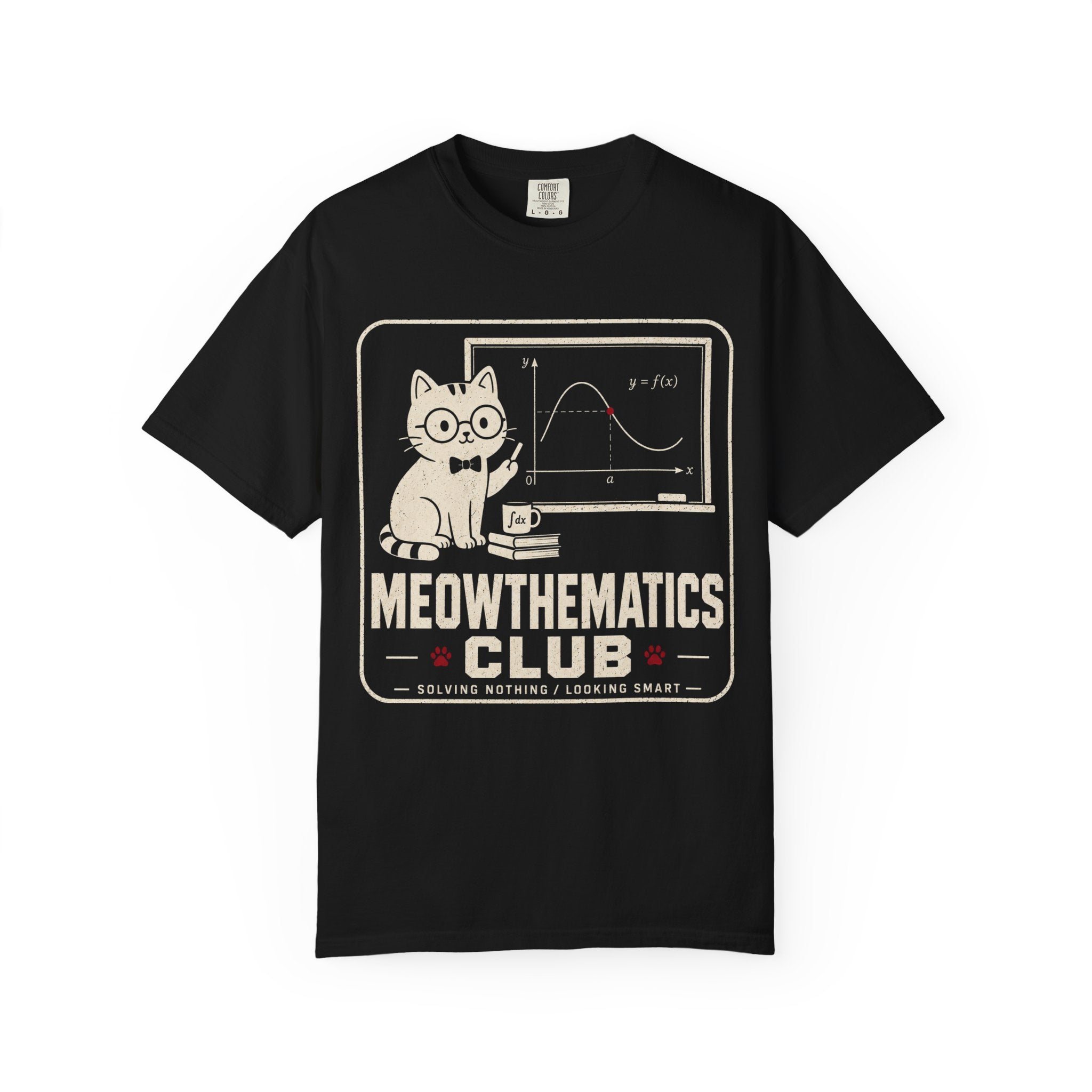 Cat Teacher At Meowthematics